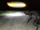 A Glowing UFO and a Hairy Nondescript