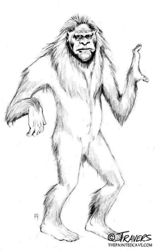 Image from here which I felt fit the description of this entity pretty well.