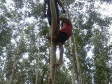 Pombéro Victim Reappears 6ft up a Tree