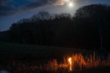 Will o the Wisp