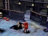 Sheeva