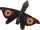 Moth
