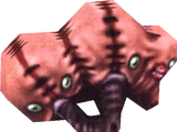 Sucklerceph