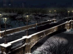 Parasite Eve Central Park Map Central Park | Parasite Eve Wiki | Fandom