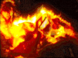 Eve takes Aya for a burning horse ride.