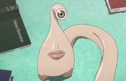 Migi