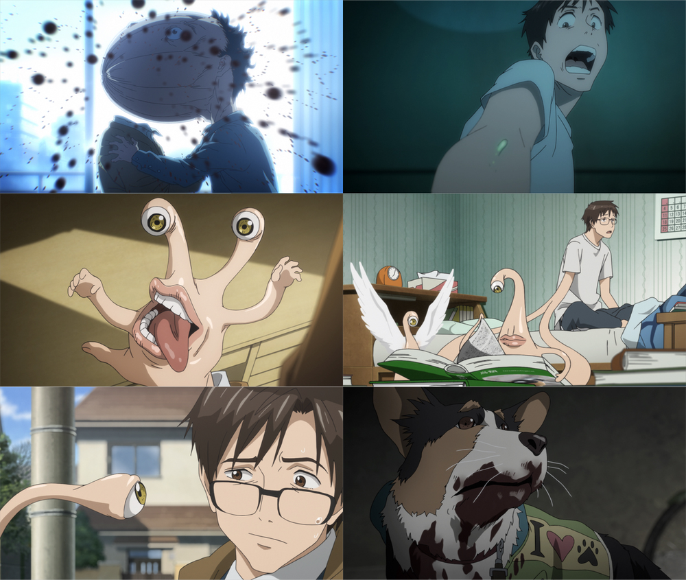 parasyte capitulo 1 español latino