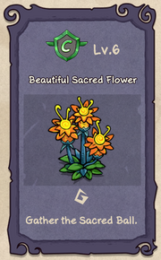 6 - Beautiful Sacred Flower