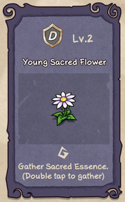 2 - Young Sacred Flower