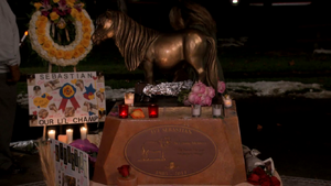 Lil Sebastian Memorial