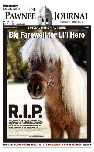 Li L Sebastian Parks And Recreation Wiki Fandom