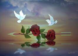 Colombes et roses.jpeg