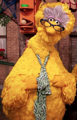 Sesame Street Squad Goals Panty Sz L Free S&H Elmo Big Bird Bert