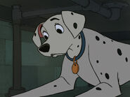 101-dalmatians-disneyscreencaps.com-1585