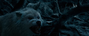 Wolves (Live-Action) as The Foosas