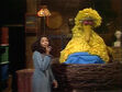 Big Bird falls asleep after singing himself a lullaby at the end of episode 1582