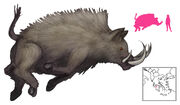 Erymanthian-boar.jpg