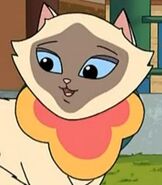 Sagwa Miao as Quillo
