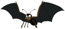 Spider Bat rosemaryhills