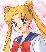 Serena/Sailor Moon as the Barmaid