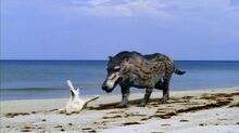 Andrewsarchus.jpg
