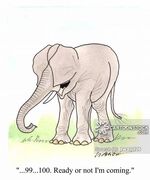Animals-elephant-ears-dumbo-hide and seek-playing-twa0126 low