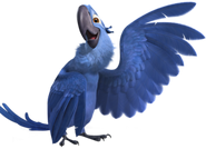 Blu the Spix's Macaw