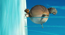 Ice-age2-disneyscreencaps