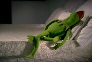 Kermit is fall to a sleep