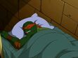 Michelangelo (TMNT 2003) sleeping