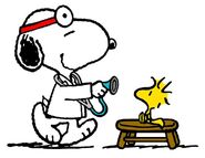 Snoopy Doctor