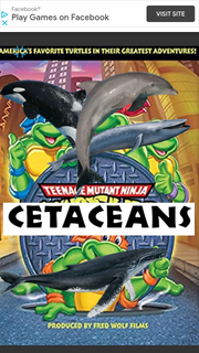 TMNCTCNS1987 Poster.png