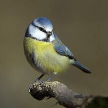 37526 image1.jpg