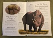 Endangered Animals (Over 100 Questions and Answers to Things You Want to Know) (9)