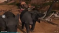 Four Elephants.png (1.43 MB)