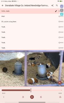 Guinea Pig.jpg
