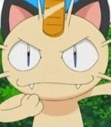 Meowth in the TV Series