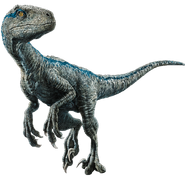 Blue the Velociraptor