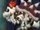Dry Bowser