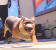 JM5WsV5T8AA.jpg (22 KB)