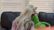 Kermit and Miss Piggy slumber near by their friends