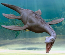 Plesiosaurus.jpg