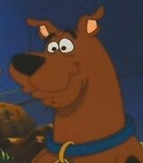 Dingo (The Penguin and Me).jpg