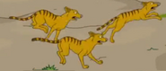 Feuturama Thylacines