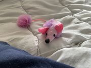 PicklyPink the Music Box Pink Mouse Toy