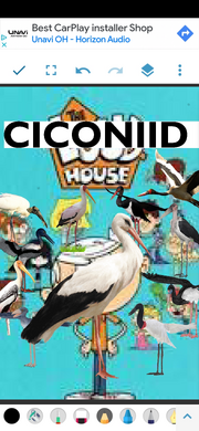 TCCNDH Poster.png