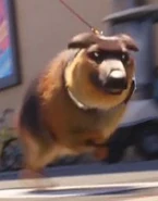 20240907 100659 996.jpg (9 KB)