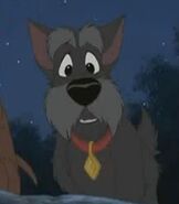 Jock in Lady and the Tramp 2 Scamp's Adventure