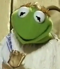 Kermit the Frog/Gallery | The Parody Wiki | Fandom