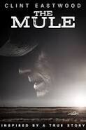 The Mule (December 14, 2018)